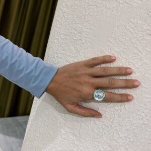 Hermis Signet Ring - Silver