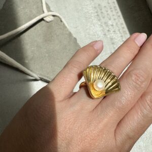 Kochyli Ring