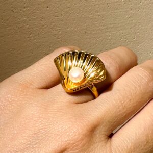 Kochyli Ring