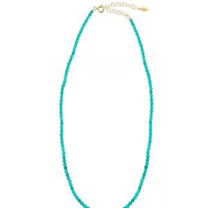 Turquoise Howlite Necklace